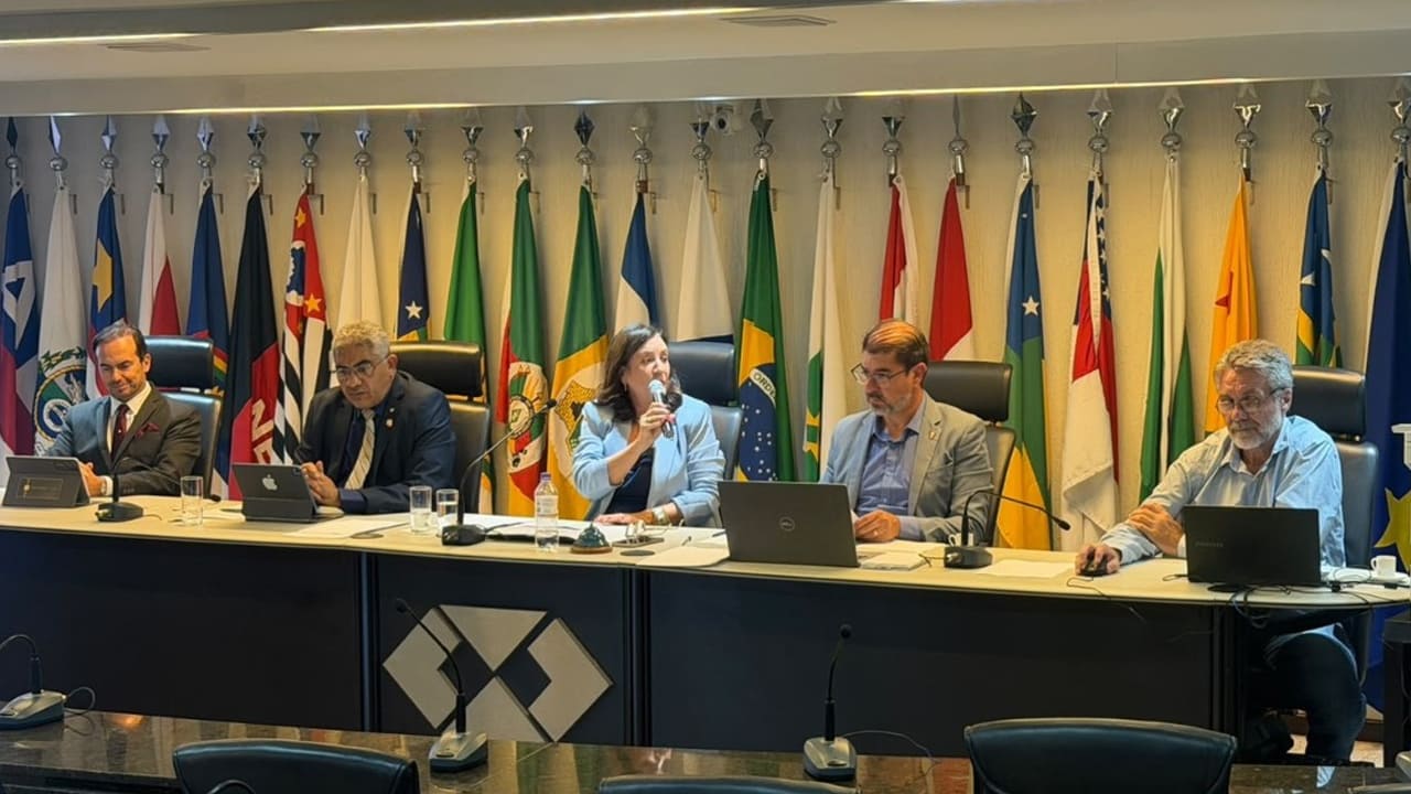 Eleições do Sistema CFA/CRAs definem novos representantes para o biênio 2027-2028